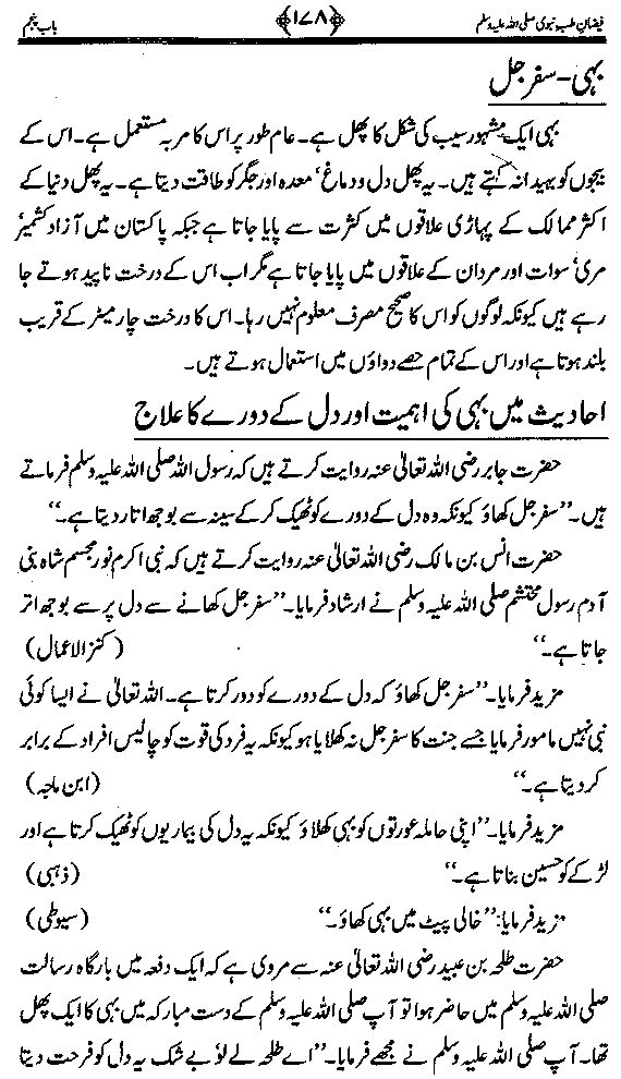 www.algillani.com تاجدار مدینہ کی مفرداؤں کا ذکر