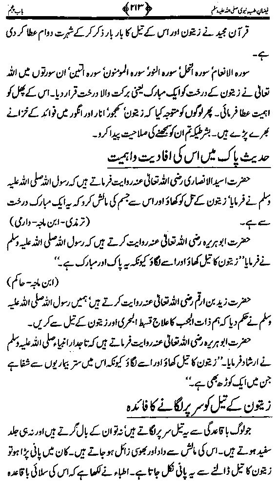 www.algillani.com تاجدار مدینہ کی مفرداؤں کا ذکر