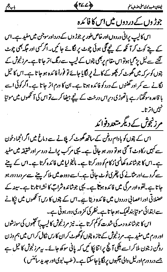 www.algillani.com تاجدار مدینہ کی مفرداؤں کا ذکر