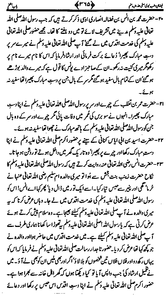 www.algillani.com تاجدار انبیاء کی ولادت مبارک