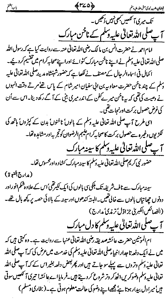 www.algillani.com تاجدار انبیاء کی ولادت مبارک
