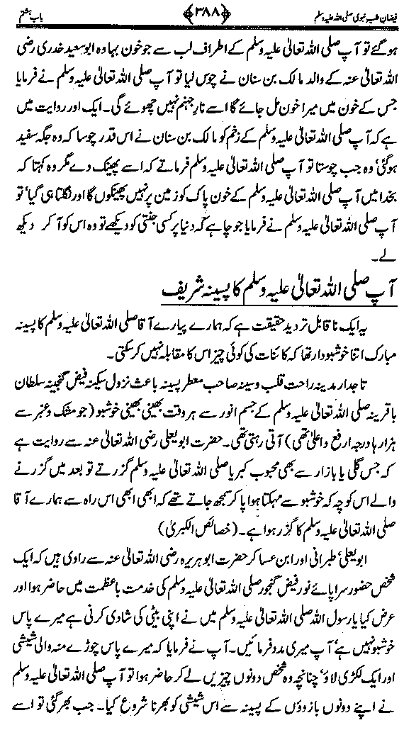 www.algillani.com تاجدار انبیاء کی ولادت مبارک